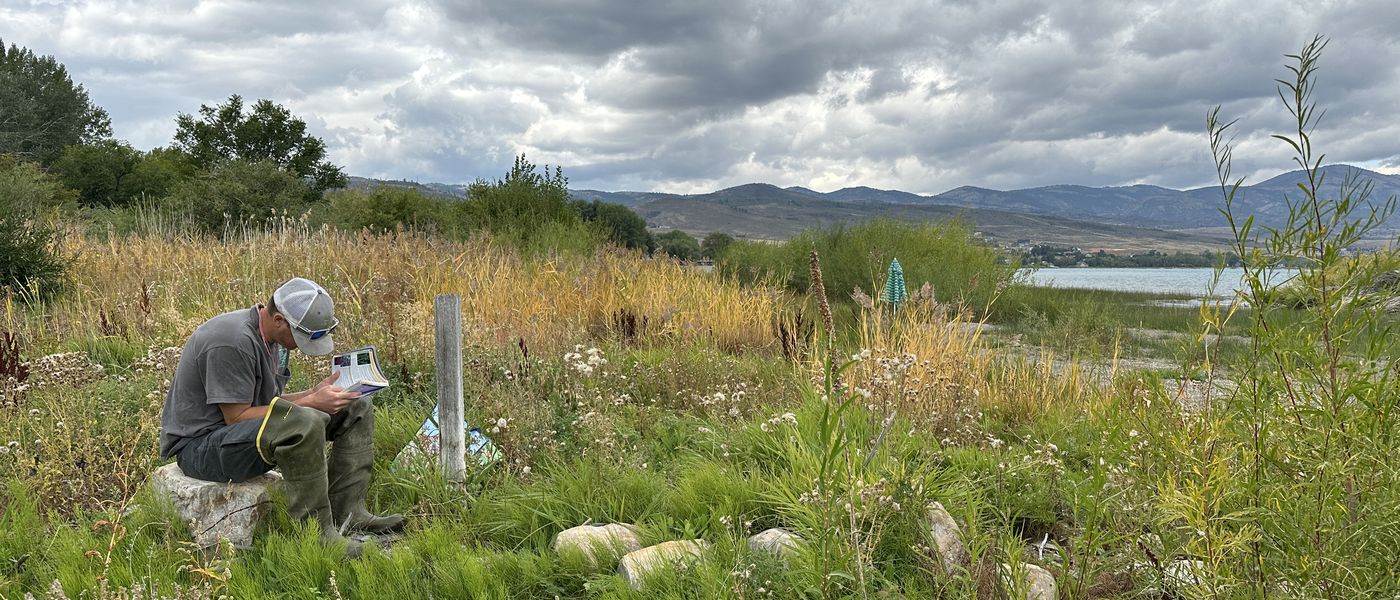 Surveyor recording a weed population in a northern Utah field